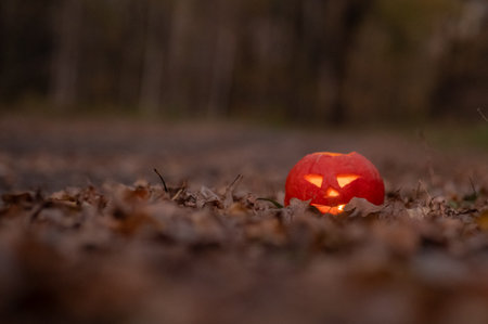 Jack oLatern Halloween in the Woods. Halloween Decorationの写真素材