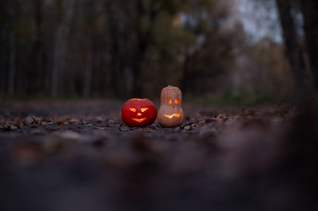 Two jack o latterns for halloween in the woods. Halloween decorationの写真素材