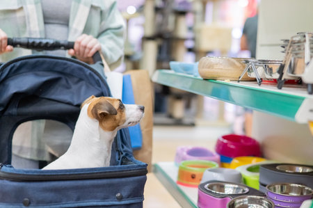 A woman is shopping at a pet store with her Jack Russell Terrier dog in a strollerの写真素材