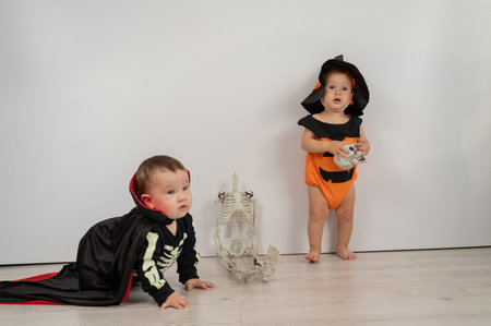 Cute kids celebrate halloween on white background. Two little boys in dracula costume and pumpkinの写真素材