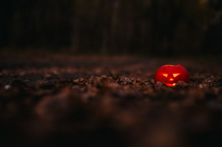 Jack oLatern Halloween in the Woods. Halloween Decoration