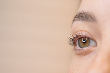 Close-up of a womans eye after eyelash lamination procedure
