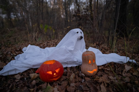 Jack Russell Terrier dog in a ghost costume for Halloween in the woods