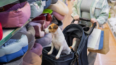 A woman is shopping at a pet store with her Jack Russell Terrier dog in a strollerの写真素材