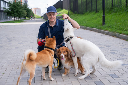 A man walks three different dogs