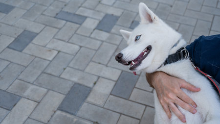 A man hugs his dog on a walkの写真素材