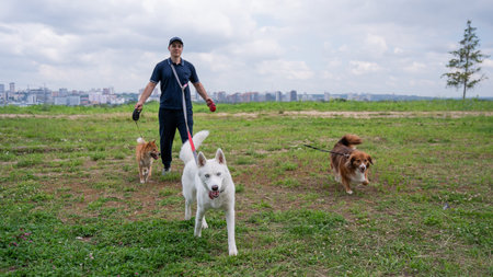 A Caucasian man walks with three dogs. Dog walker