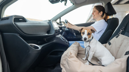 Caucasian woman travels by car with her dog. Jack Russell Terrier in a special car seatの写真素材