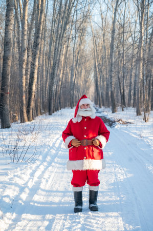 Santa Claus walks through the winter forestの写真素材