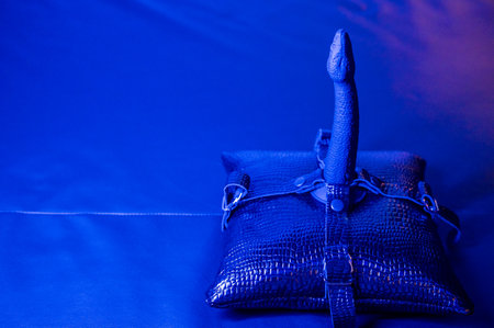 Accessory. Strap-on on a leather padの写真素材