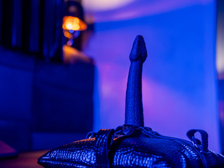 Strap-on on a leather padの写真素材