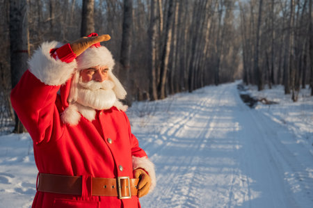 Santa Claus walks through the winter forestの写真素材