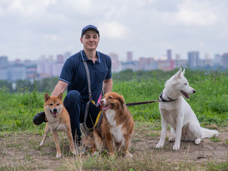 A Caucasian man walks with three dogs. Dog walkerの写真素材