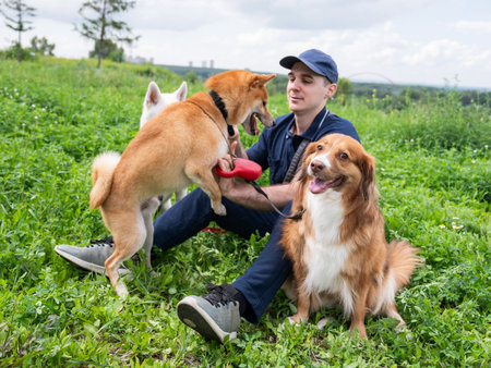 A Caucasian man walks with three dogs. Dog walker