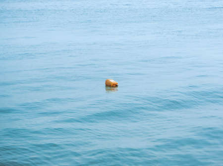 Floating object in the sea
-
A discarded object is floating on the blue sea, aimlesslyの写真素材