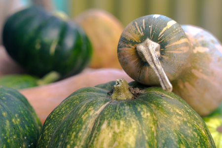 pumpkin on a wooden tableの写真素材