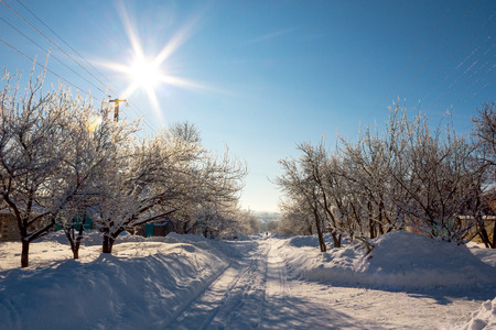 descent through the village through the white snow, surrounded by trees with sunlightの写真素材