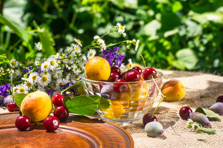 Cherry and apricot on the table in the garden with flowersの写真素材