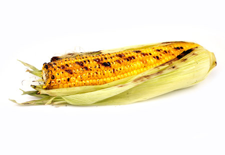 corn grilled on a white background for isolationの写真素材