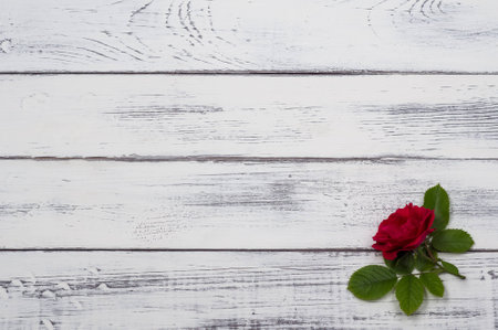 Rose Lies On An Old Board. Close-up. The Background Horizontal. Country Still Life.の写真素材