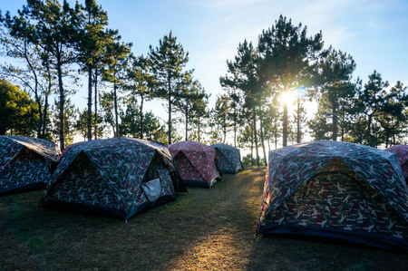 Camp in the forrestの写真素材