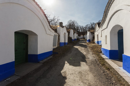 Petrov Plze, traditional wine architecture