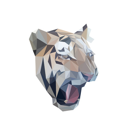 Tiger head, low polygonal face, isolated vector illustrationのイラスト素材
