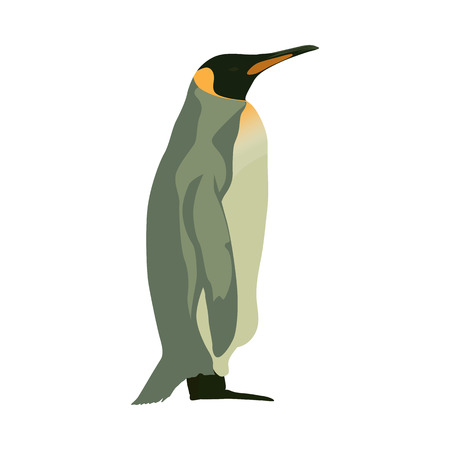 Penguin, isolated vector flat illustration. Side viewのイラスト素材