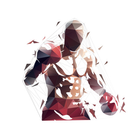 Boxing, combat sport fighter, isolated low polygonal vector illustration from trianglesの写真素材