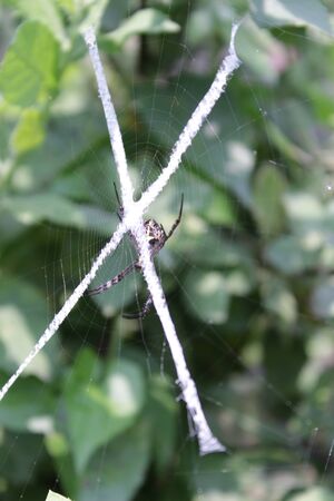 It's a web stock photo image.の写真素材