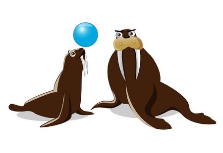 seal playing のイラスト素材