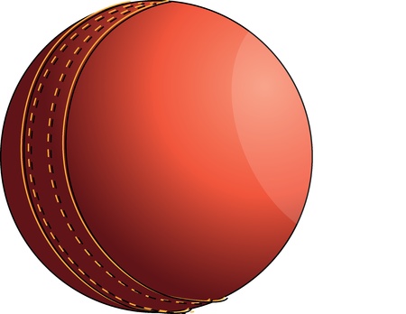 Cricket ballのイラスト素材