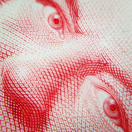 Macro shot of Canadian dollar の素材