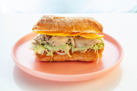 Chicken with avocado ciabatta healthy sandwich.の写真素材