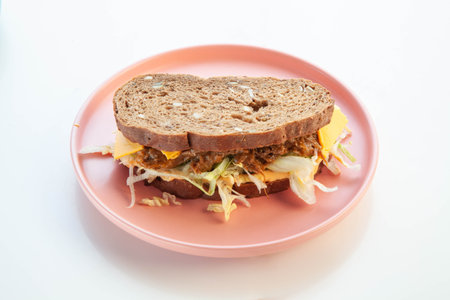 Rye bread pulled beef sandwich on a pink plate white background.の写真素材