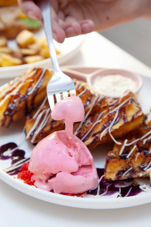 Chocolate waffle with dressing of chocolate sauce and strawberry gelato on the side.の写真素材