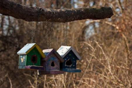bird houses の写真素材