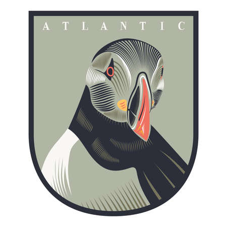 Atlantic Puffin Seabird Line Drawing Artのイラスト素材