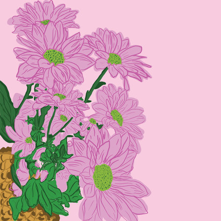 Hand drawn Floral Gerbera Flower vector illustration. Set of gerbera flowers. Floral vector.のイラスト素材