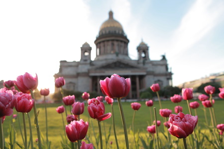 St  Isaac s Cathedralの写真素材