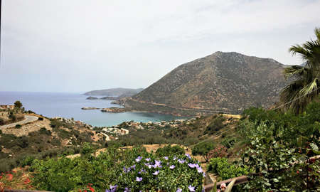 Blooming coastの写真素材