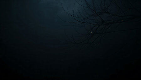 Silhouette of tree branches in the fog at night time.の素材