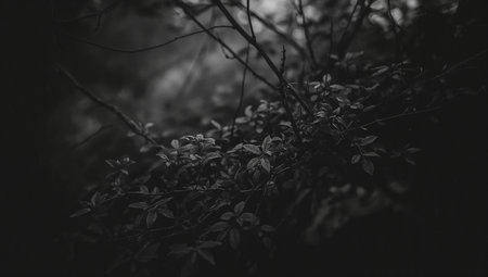 Black and white image of leaves on a tree in the forest.の素材