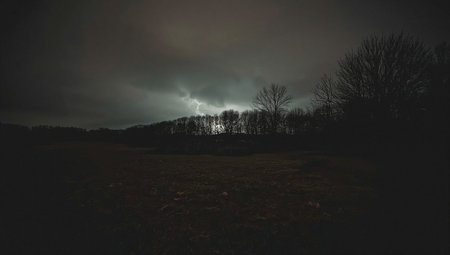 A dark stormy sky over a field with trees in the foregroundの素材
