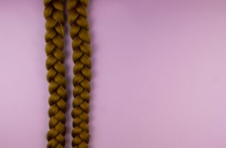 Two blond braids on a pink background, lie in parallel.の写真素材