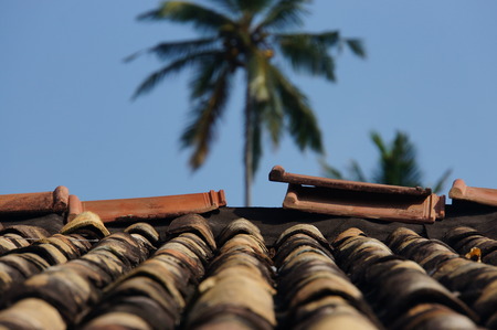 Tilingの写真素材