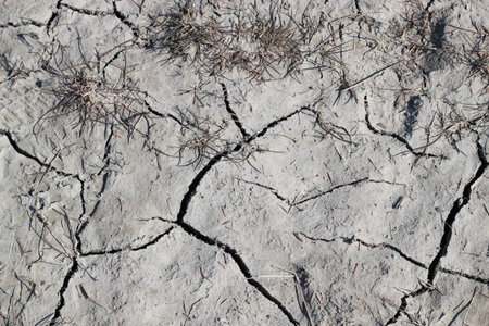 Closeup of dry cracked earthの写真素材