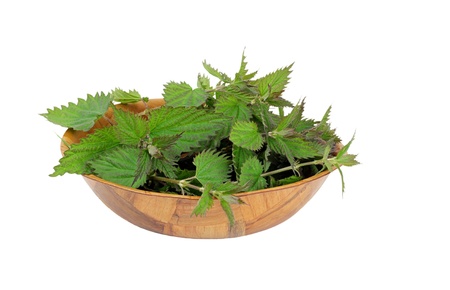 Bowl of nettles ready to cook, isolated on whiteの写真素材