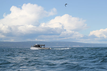 Silver fishing boat on the Kachemak Bay, Alaska on a summer day with interesting clouds.