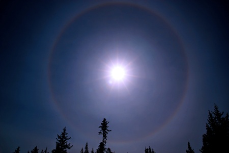 Sunbow around the sun with a blue sky and spruce trees formed when conditions are right with moisture in the air.の写真素材
